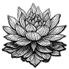 Lotus Blomst tegninger sort / hvid