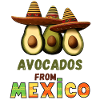 Avocado with Mexico