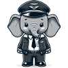 Cute Elephant Pilot