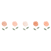Flowers for spring
