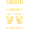 Dog Golden Retriever