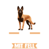 Belgischer Schäferhund Hund Malinois
