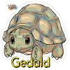 Werte mit Tieren: Geduld