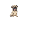 Hund Mopsmama Hundemama Mutter Mops