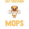 Hund Mops