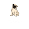 Dog Pug