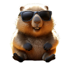 Wombat with sunglasses Australia Cute Wombats