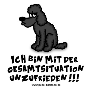 Karlsson Gesamtsituation