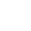 White Smart Bird