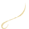 Dance,Team Dance, Dancing, Gift,