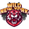 Wild New York Tiger
