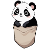 Panda mignon dans la poche