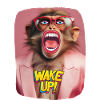 Wake up call