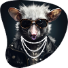 Hard Rock Possum