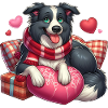 Border Collie Love