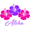 Flower Hibiscus Aloha