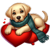 Labradoe Retriever Puppy