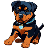 Cute Rottweiler Puppy