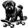 Black and White Poodle Skateboarder