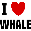 I love Whale