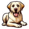 Labrador Recumbent - Dog