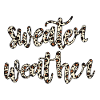 Sweater Weather – Trend Design 🐆🍂
