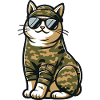 Chat camouflage Militaire