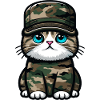 Cat in military uniform