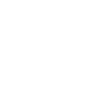 Spiders,Hanging Spiders,Spider