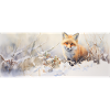 Fox Landscape Snow