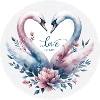 Cygne : L'amour tendre
