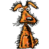 Chien funky