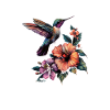 Hummingbird whisperer