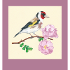 240102 Vogel 3