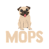 Hund Mops