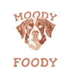 Brittany Spaniel Witzig