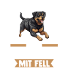 Dog Rottweiler