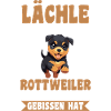 Hund Rottweiler