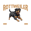 Dog Rottweiler