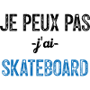 I can't I Skate