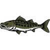 Fantasy Fish