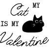 Katze