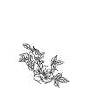 Point (I)