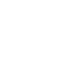 CAPOERISTE GÉNIALE