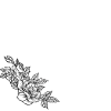 Letter N