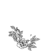 Letter T