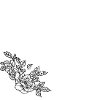 Letter O