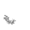 Letter P
