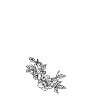 Point (V)