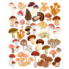 Mushroom hunting
